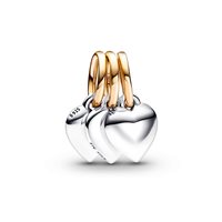 Charm Pandora Donna Pandora Moments in Argento 762722C00 - 762722C00